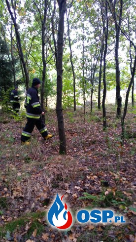 Poszukiwania zaginionej kobiety- Durąg pow.Ostródzki OSP Ochotnicza Straż Pożarna