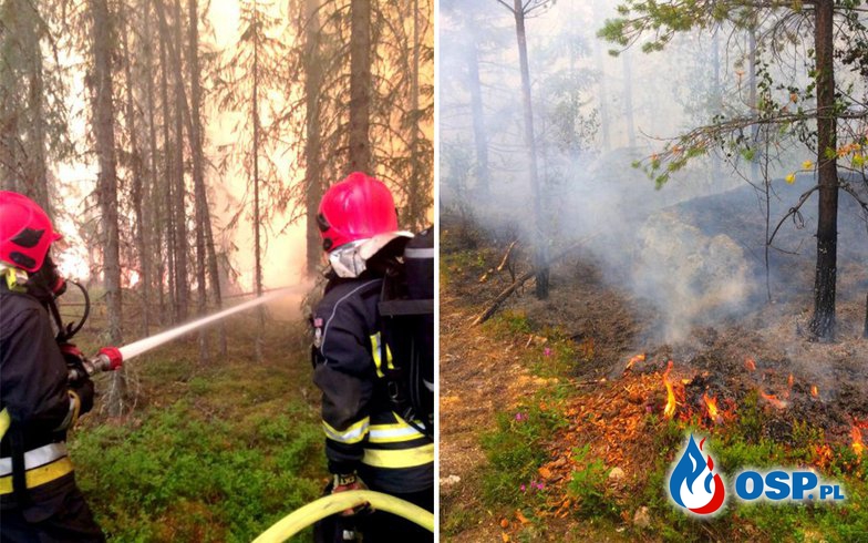 Kolejna doba walki z pożarem w Szwecji. Najnowszy raport Komendy Głównej PSP. OSP Ochotnicza Straż Pożarna