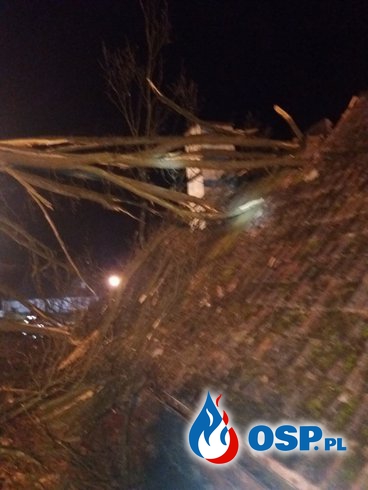Drzewo spadło na budynek mieszkalny. OSP Ochotnicza Straż Pożarna