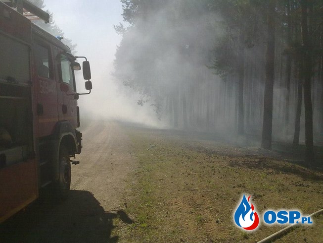 Pożar lasu Sowia Góra OSP Ochotnicza Straż Pożarna