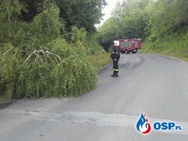 Podsumowanie maja 2016 w jednostce OSP Polańczyk OSP Ochotnicza Straż Pożarna