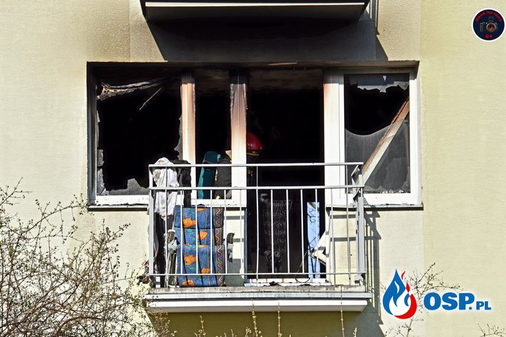 Tragiczny pożar mieszkania w Warszawie. Nie żyje kobieta. OSP Ochotnicza Straż Pożarna