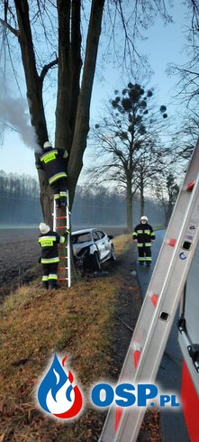 Auto zapaliło się po zderzeniu z drzewem. Kierowca próbował uniknąć zderzenia ze zwierzęciem. OSP Ochotnicza Straż Pożarna