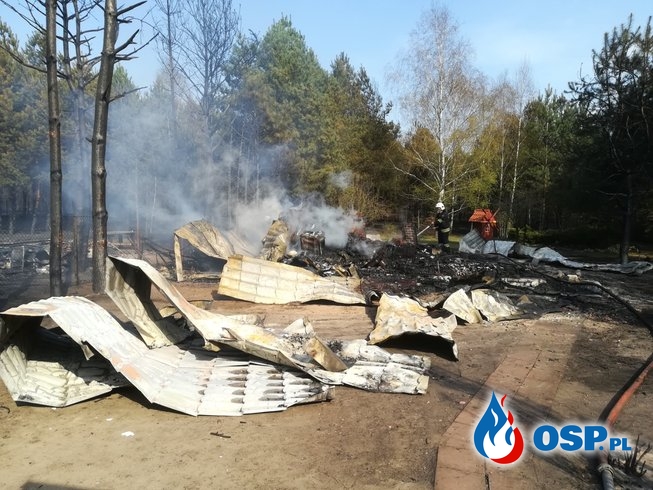 Pożary lasu oraz domków letniskowych OSP Ochotnicza Straż Pożarna