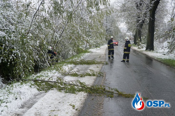 Skutki opadów śniegu na trasie Śmicz-Ścinawa oraz w Białej ul. Nyska OSP Ochotnicza Straż Pożarna