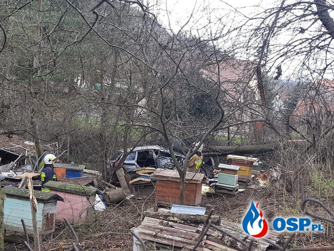 Pszczoły atakowały ratowników. Trudna akcja po tragicznym wypadku. OSP Ochotnicza Straż Pożarna