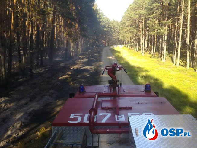 Pożar lasu Sowia Góra OSP Ochotnicza Straż Pożarna