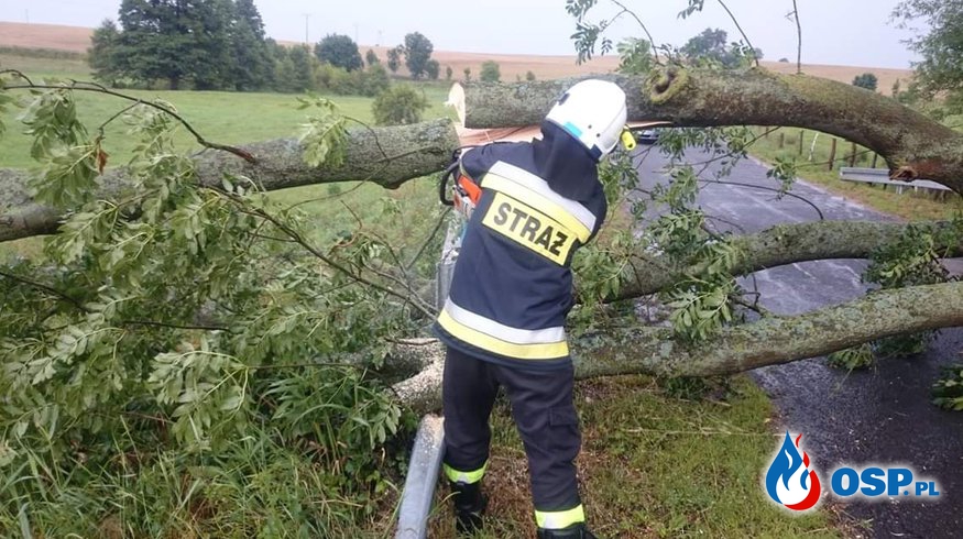 Drzewa blokowały przejazd OSP Ochotnicza Straż Pożarna
