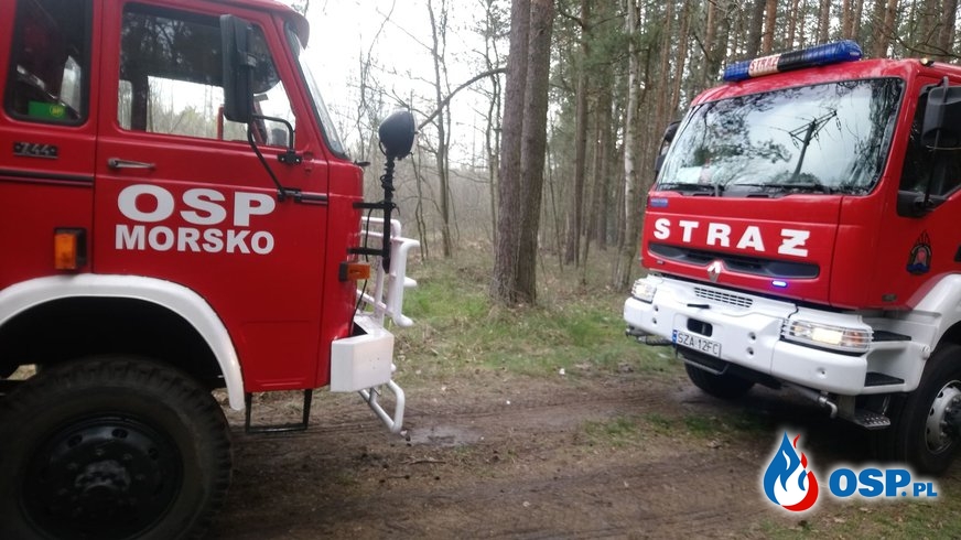 pożar lasu Góra Włodowska 24,04,2020 OSP Ochotnicza Straż Pożarna