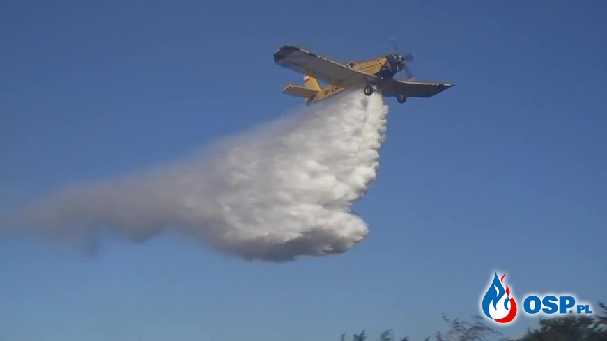 Trudny pożar lasu na wzgórzu. Do akcji wkroczyły samoloty gaśnicze. OSP Ochotnicza Straż Pożarna