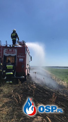 Pożar traw na wale przeciwpowodziowym Bielinek-Cedynia OSP Ochotnicza Straż Pożarna