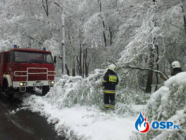 Załamanie pogody - pełne ręce roboty strażaków OSP Ochotnicza Straż Pożarna