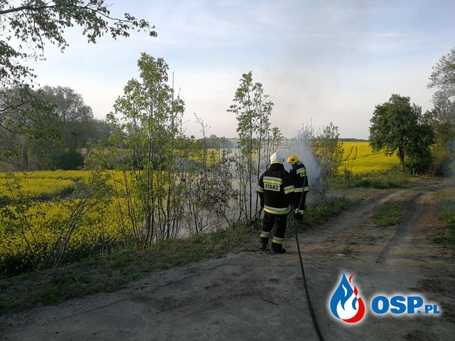 Pożar trawy w 3 różnych miejscach na ścieżce rowerowej OSP Ochotnicza Straż Pożarna