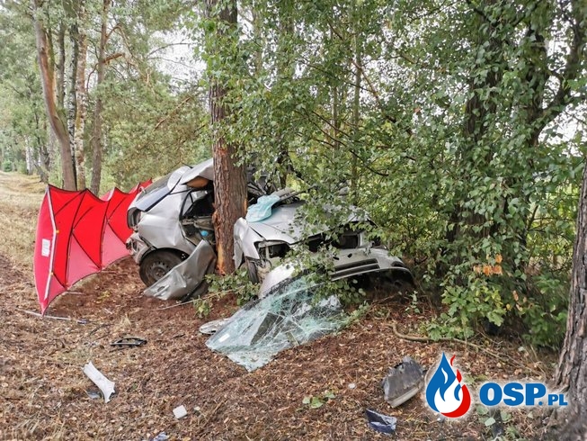 Samochód owinął się wokół drzewa. Kierowca zginął na miejscu. OSP Ochotnicza Straż Pożarna