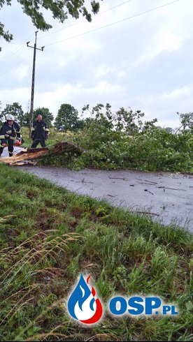 Połamane drzewa blokowały drogę OSP Ochotnicza Straż Pożarna