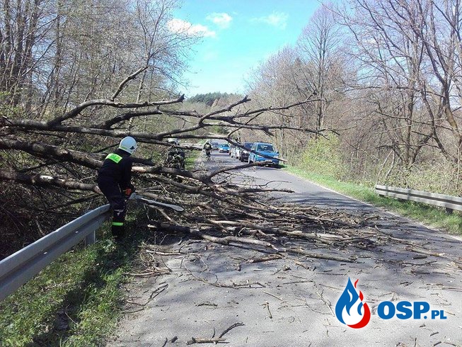 Działo się w Bieszczadach - 4 wyjazdy w jednym dniu, pierwszy stopień zagrożenia meteorologicznego OSP Ochotnicza Straż Pożarna