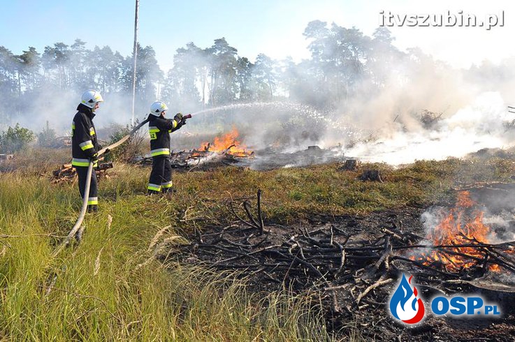 Pożar lasu - ćwiczenia międzypowiatowe na kompleksie leśnym OSP Ochotnicza Straż Pożarna