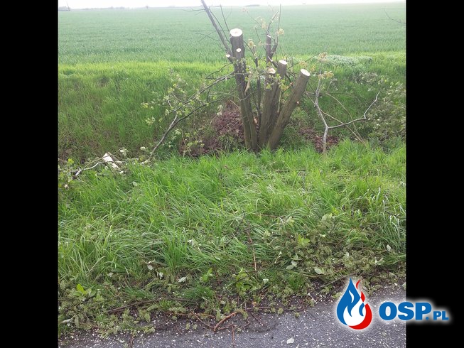 Powalone drzewo na drodze nr 458 OSP Ochotnicza Straż Pożarna