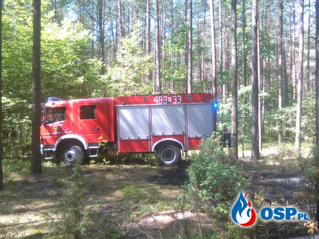 Wyjazd 21/2016 Pożar lasu OSP Ochotnicza Straż Pożarna