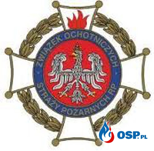 Posiedzenie Zarządu Gminnego ZOSPRP w Opinogórze Górnej OSP Ochotnicza Straż Pożarna