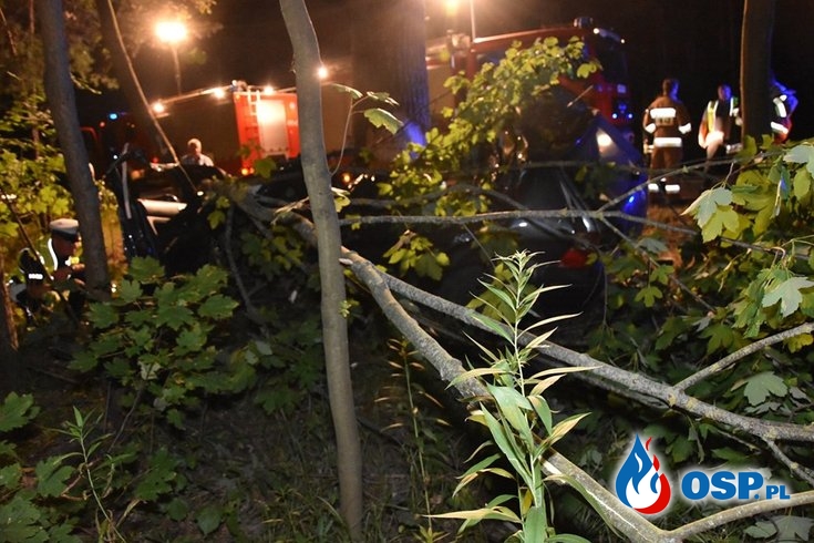 27-latek zginął w wypadku pod Annopolem. Auto uderzyło w drzewo. OSP Ochotnicza Straż Pożarna