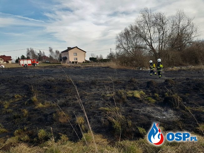 Pożar traw - ul. C. Norwida w Żarkach OSP Ochotnicza Straż Pożarna