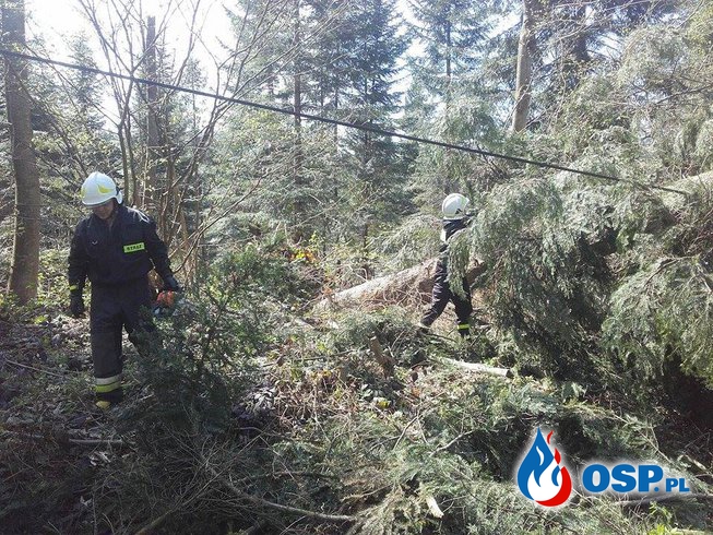 Działo się w Bieszczadach - 4 wyjazdy w jednym dniu, pierwszy stopień zagrożenia meteorologicznego OSP Ochotnicza Straż Pożarna