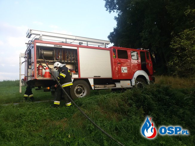 Pożar nieużytków w miejscowości Łany OSP Ochotnicza Straż Pożarna