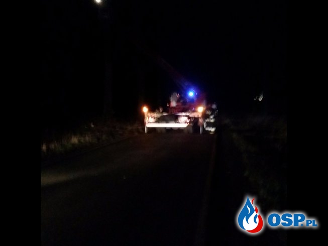 Złamane konary drzewa na trasie Biała – Solec OSP Ochotnicza Straż Pożarna
