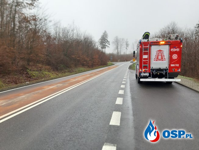 Pierwszy wyjazd w Nowym Roku. OSP Ochotnicza Straż Pożarna