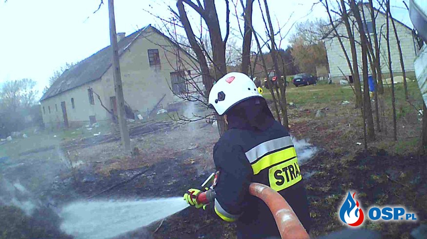 Pożar trawy i gałęzi przy DK7 OSP Ochotnicza Straż Pożarna