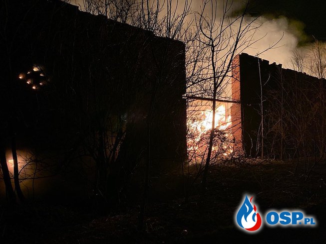 Dach stodoły zawalił się w trakcie pożaru. Długa akcja strażaków. OSP Ochotnicza Straż Pożarna