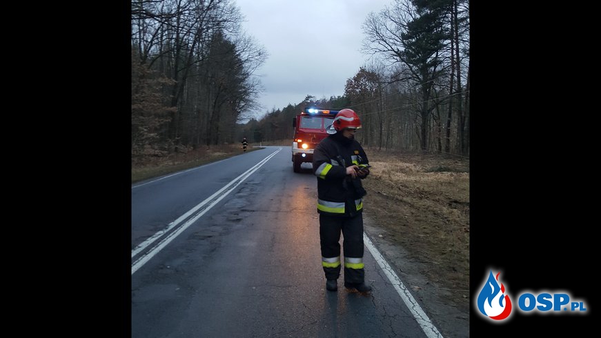Wypadek droga wojewódzka nr 137 OSP Ochotnicza Straż Pożarna