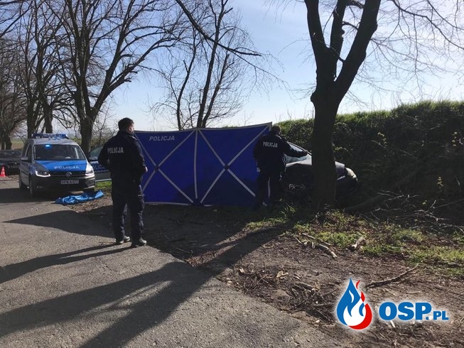 Śmiertelny wypadek na trasie Krajnik Górny-Raduń OSP Ochotnicza Straż Pożarna