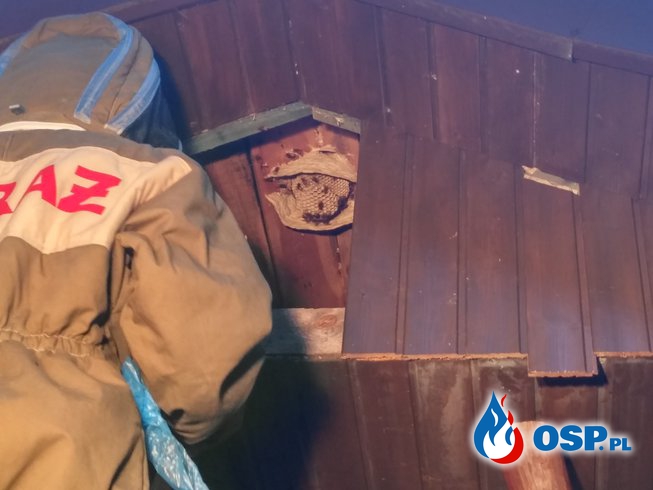 Owady OSP Ochotnicza Straż Pożarna