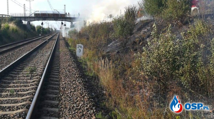 Pożar trawy na nasypie kolejowym OSP Ochotnicza Straż Pożarna