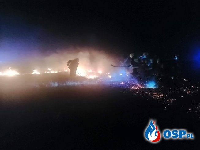 Duży pożar nieużytków rolnych na granicy Bóbrki i Niżnej Łąki OSP Ochotnicza Straż Pożarna