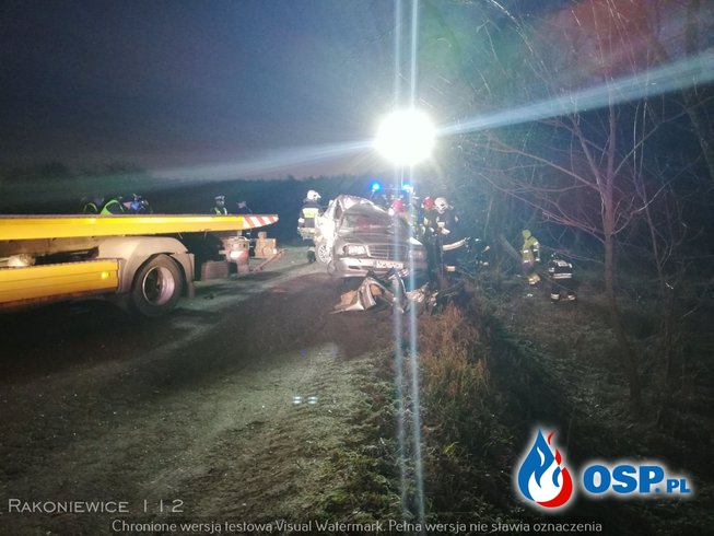 Dwóch mężczyzn zginęło w wypadku mercedesa. "Kierowca wyszedł o własnych siłach" OSP Ochotnicza Straż Pożarna