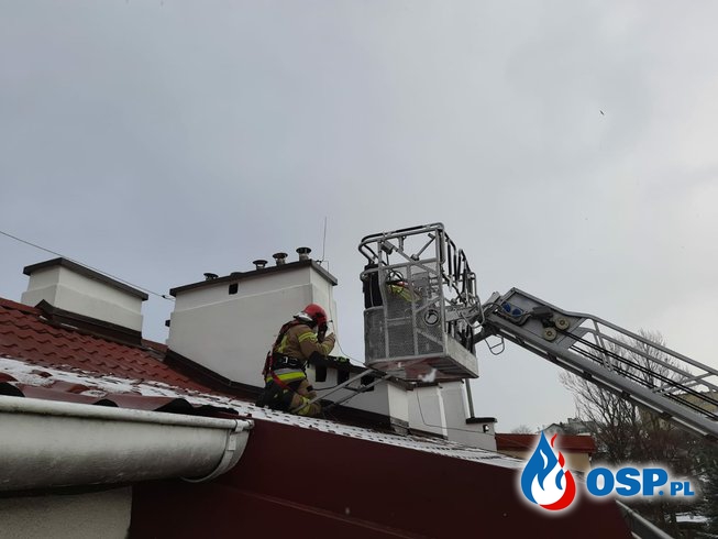 Strażacy musieli rozkuć ścianę, by uwolnić kota. Nietypowa akcja w Gdyni. OSP Ochotnicza Straż Pożarna