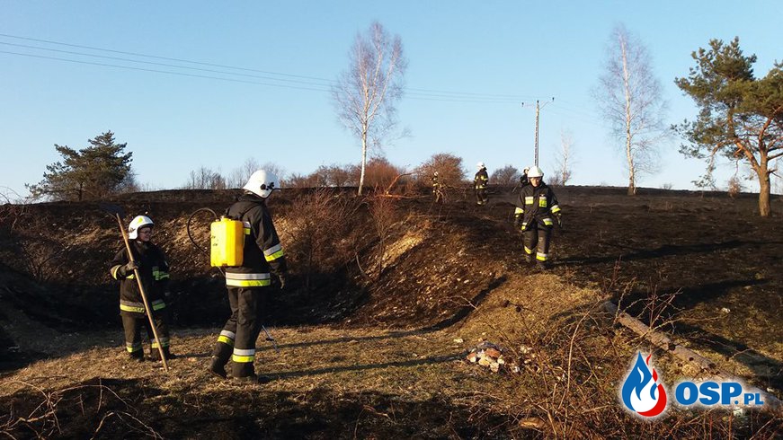 Pożar traw - ul. Poległych w Żarkach OSP Ochotnicza Straż Pożarna