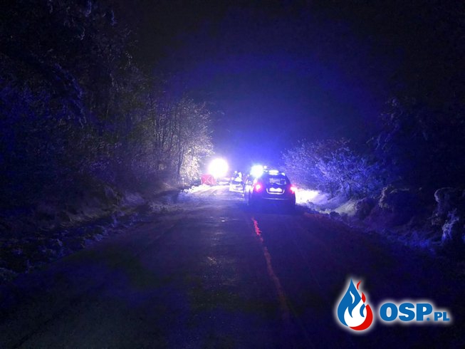 BMW uderzyło dachem w drzewo. Dwie osoby zginęły. OSP Ochotnicza Straż Pożarna