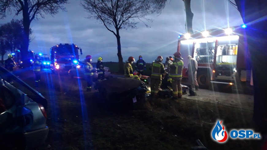 Niemowlę i młoda kobieta zginęli w wypadku. Auto wpadło na drzewo po zderzeniu z dzikiem. OSP Ochotnicza Straż Pożarna