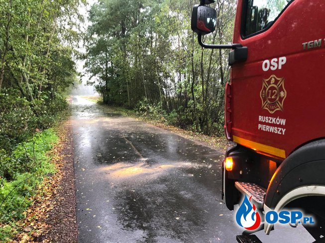 Powalone drzewo na drodze w Turach OSP Ochotnicza Straż Pożarna