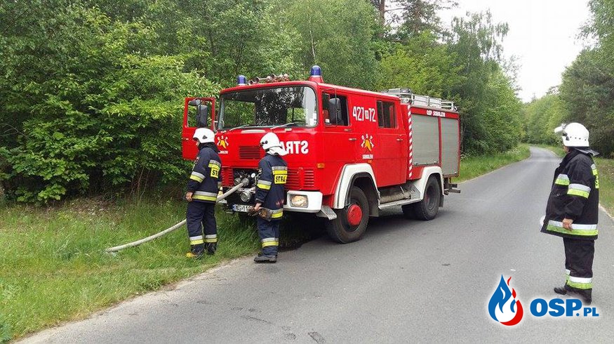 Pożar lasu w miejscowości Kobusy! OSP Ochotnicza Straż Pożarna