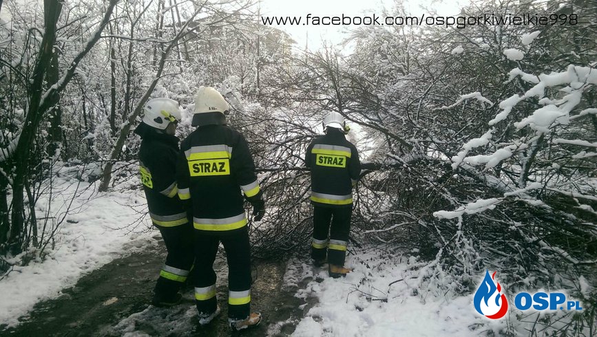 Kolejne skutki opadów ciężkiego śniegu OSP Ochotnicza Straż Pożarna