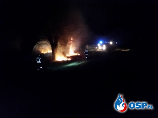 Pożar trawy w miejscowości Jeżewo OSP Ochotnicza Straż Pożarna