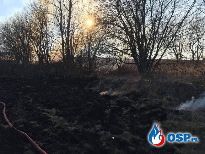 Słoneczna niedziela niestety dniem wypalania suchej trawy OSP Ochotnicza Straż Pożarna