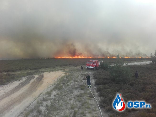 20.09-Pożar na poligonie w Świętoszowie OSP Ochotnicza Straż Pożarna