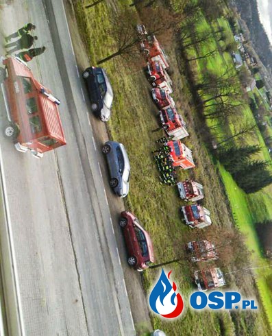 Płonął kompleks leśny - Ćwiczenia OSP Ochotnicza Straż Pożarna