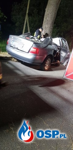 19-latka roztrzaskała auto na drzewie. Dwie osoby zginęły, trzecia walczy o życie. OSP Ochotnicza Straż Pożarna